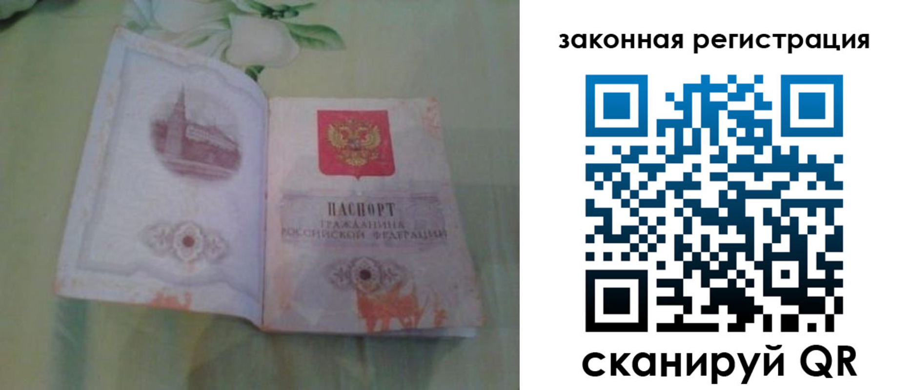 прописка в Юрьев-Польском